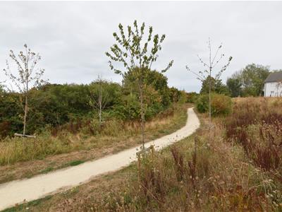 Picture 28